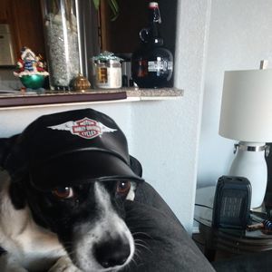 Meet your Posher, Richard